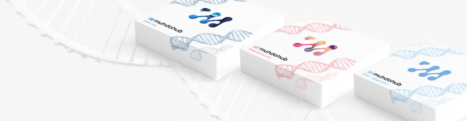 Carton Boxes packaging